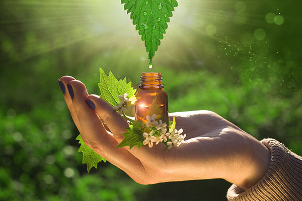 Hand holding essential oils bottle with plants in the background